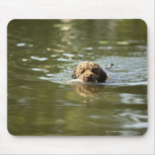 Alfombrilla De Ratón Un perro juguetón se refresca apagado en el calor