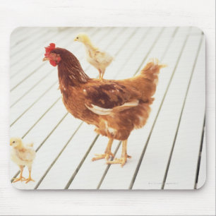 Alfombrilla De Ratón Un pollo y dos polluelos en un piso de madera,