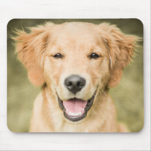 Alfombrilla De Ratón Un retrato de un perrito del golden retriever