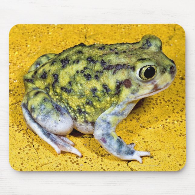 Alfombrilla De Ratón Un sapo de espuma (Frente)