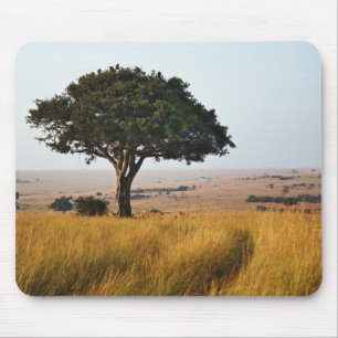 Alfombrilla De Ratón Un solo árbol de acacia en llanuras herbáceas, Mas
