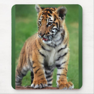 Alfombrilla De Ratón Un tigre de bebé lindo