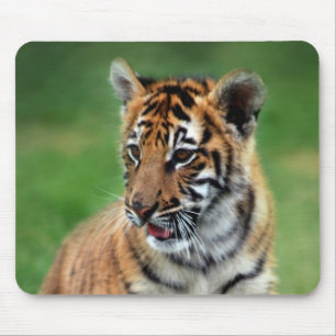 Alfombrilla De Ratón Un tigre de bebé lindo