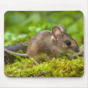 Alfombrilla De Ratón Un verdadero azul