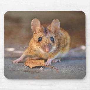 Alfombrilla De Ratón Un verdadero azul
