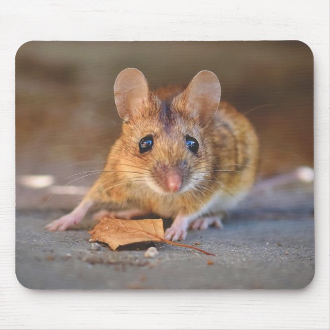 Alfombrilla De Ratón Un verdadero azul (Frente)