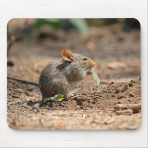 Alfombrilla De Ratón Un verdadero azul