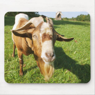 Alfombrilla De Ratón Una cabra - mousepad