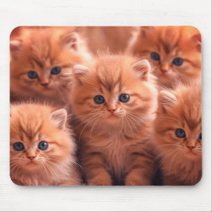 Alfombrilla De Ratón Una camada de adorables gatitos en Laptop Escritor