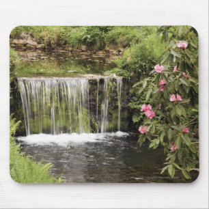 Alfombrilla De Ratón Una corriente y una cascada en el parque nacional