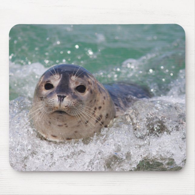 Alfombrilla De Ratón Una cría de foca surfeando (Frente)