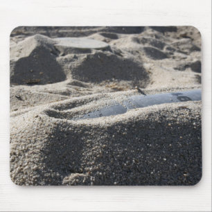 Alfombrilla De Ratón Una exhibición estática de una concha de artefacto