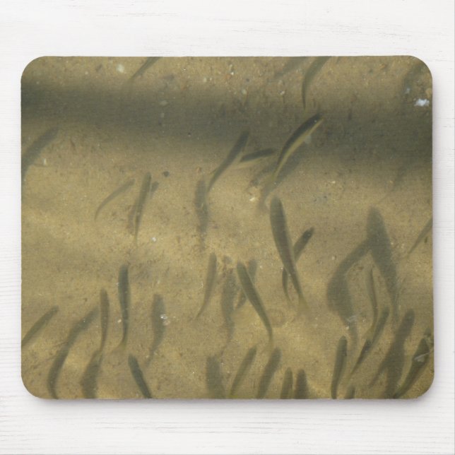 Alfombrilla De Ratón una historia sospechosa (Frente)