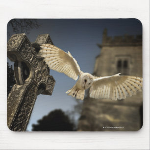 Alfombrilla De Ratón Una lechuza común (Tyto alba) en un cementerio en