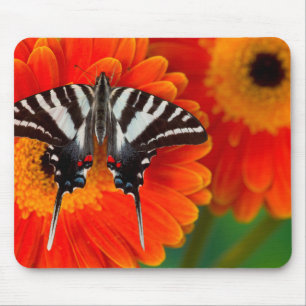 Alfombrilla De Ratón Una mariposa cola de golondrina cebra
