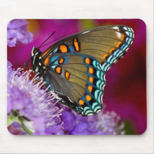 Alfombrilla De Ratón Una mariposa de cola cruda