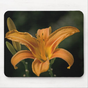 Alfombrilla De Ratón Una Mousepad delgada en el jardín