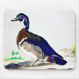 Alfombrilla De Ratón Una pintura de un pato de Aert Schouman