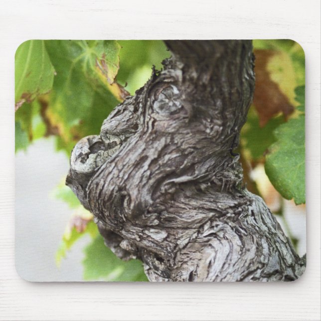 Alfombrilla De Ratón Una rama de una vid muy antigua con rollo (Frente)