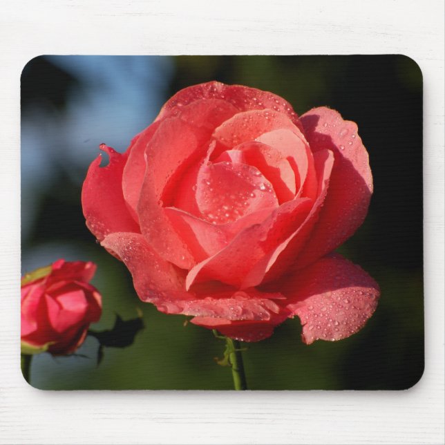 Alfombrilla De Ratón Una rosa para la amada.... (Frente)