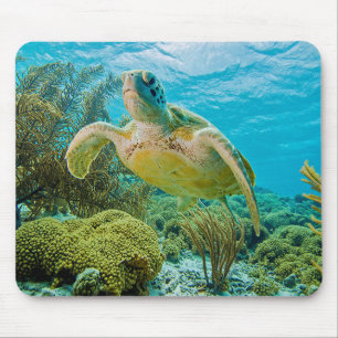Alfombrilla De Ratón Una tortuga verde en los filones bajos de Bonaire