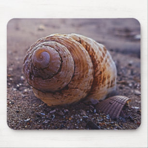 Alfombrilla De Ratón Una vista macra de Shell espiral