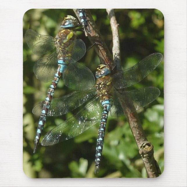 Alfombrilla De Ratón ¡Unidad! (Frente)