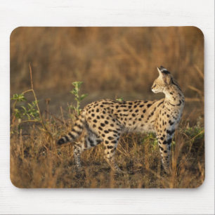Alfombrilla De Ratón Upper Mara, Reserva de caza Masai Mara, Kenia,
