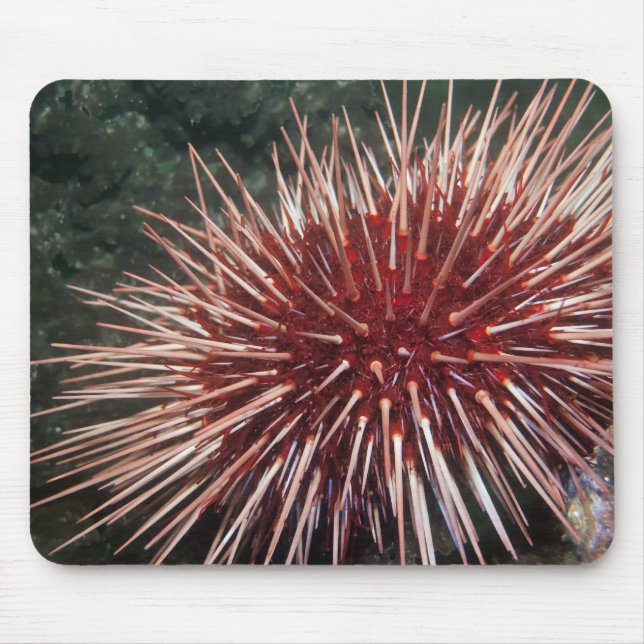 Alfombrilla De Ratón Urchin gigante del Mar Rojo - Mousepad (Frente)