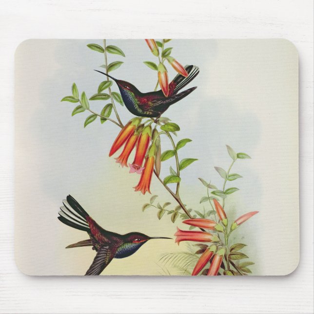 Alfombrilla De Ratón Urochroa Bougieri (Frente)