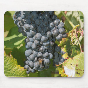 Alfombrilla De Ratón Uruguay, Montevideo, área de los dos puntos.