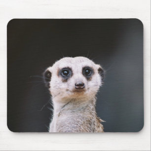 Alfombrilla De Ratón ¿Usted me está mirando? Meerkat Mousepad