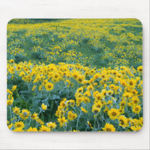 Alfombrilla De Ratón UTAH. EE. UU. Balsamorhiza sagittata