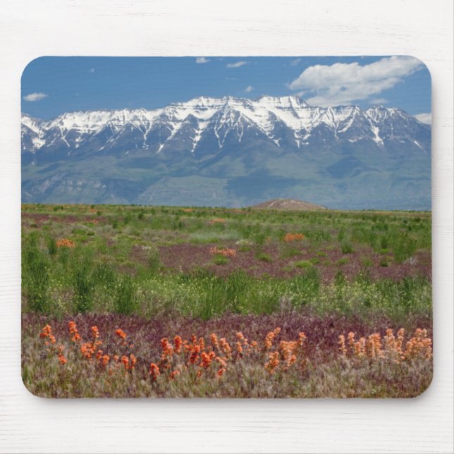 Alfombrilla De Ratón Utah, EE.UU. El Tm. Timpanogos Sube Por Encima (Frente)
