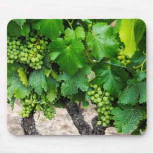 Alfombrilla De Ratón Uvas para vino en crecimiento, Francia