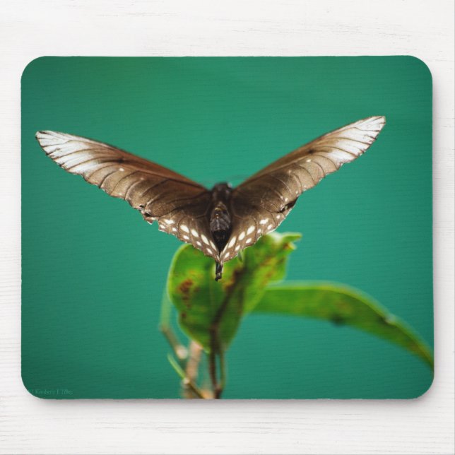 Alfombrilla De Ratón V Mousepad (Frente)