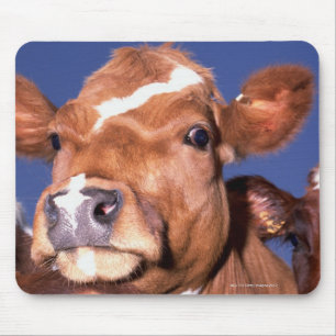 Alfombrilla De Ratón vaca 2
