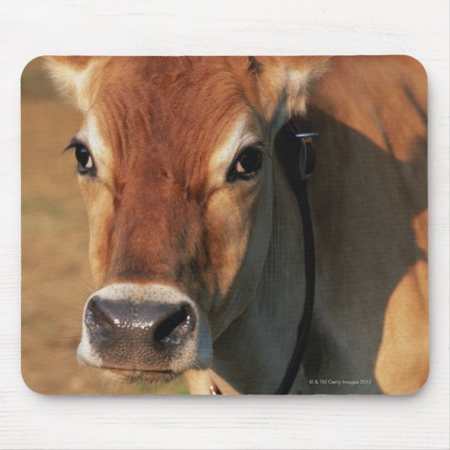 Alfombrilla De Ratón Vaca con una campana de vaca (Frente)