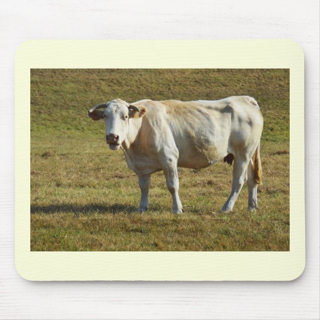 Alfombrilla De Ratón Vaca de Aquitania rubia (Frente)