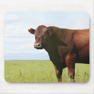 Alfombrilla De Ratón Vaca de carne de vacuno en el campo
