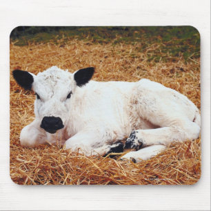 Alfombrilla De Ratón Vaca del bebé, becerro
