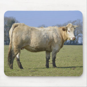 Alfombrilla De Ratón Vaca en campo