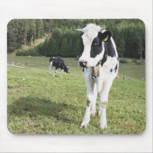 Alfombrilla De Ratón Vaca en un prado, Fie Sciliar Allo, alto el