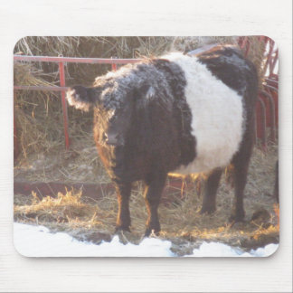 Alfombrilla De Ratón Vaca Galloway con correa y escarcha