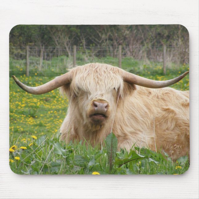 Alfombrilla De Ratón Vaca Highland de Escocia (Frente)