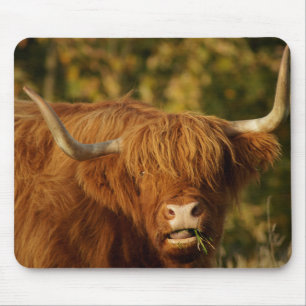 Alfombrilla De Ratón Vaca Highland de Escocia