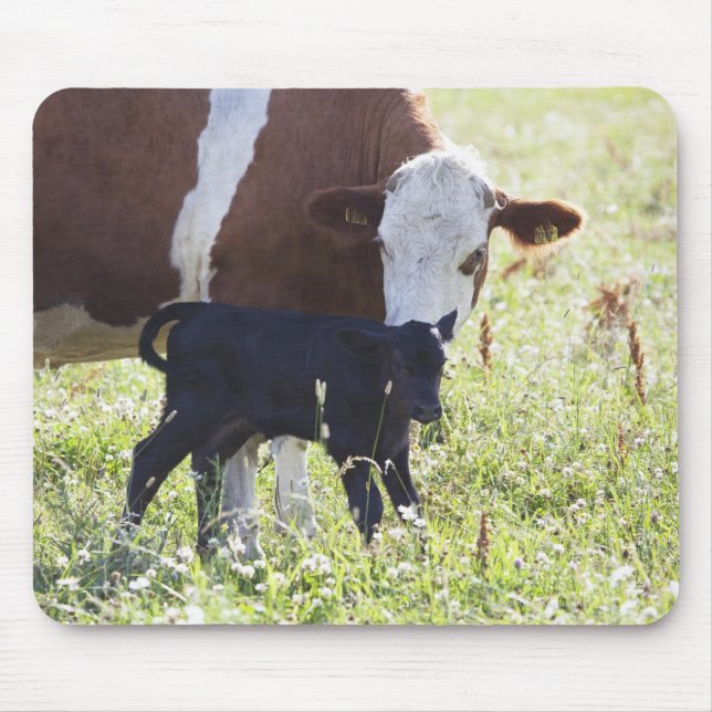 Alfombrilla De Ratón Vaca y ternera (Frente)