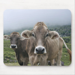 Alfombrilla De Ratón Vacas alpinas