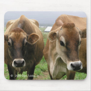 Alfombrilla De Ratón Vacas curiosas