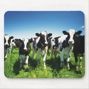 Alfombrilla De Ratón Vacas en el campo, ciudad de Betsukai, Hokkaido